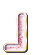 255