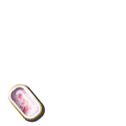 256