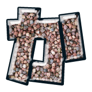 006