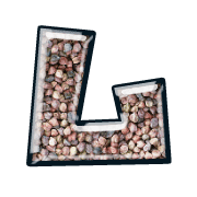 113
