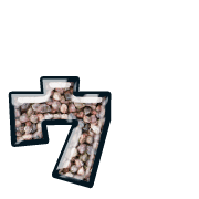 129