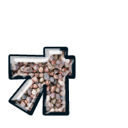 131