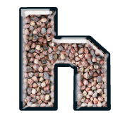 195
