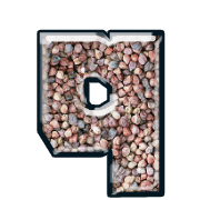 204
