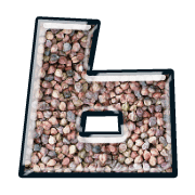 219