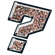 226