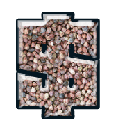 229