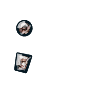 243