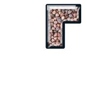254