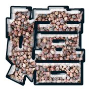276