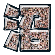 278