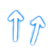 009