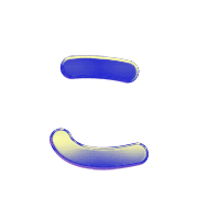 010