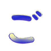 060