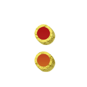 244