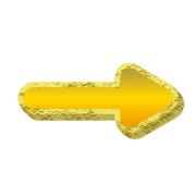 262