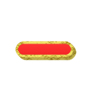 161