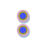 244