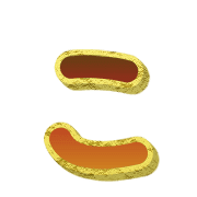010
