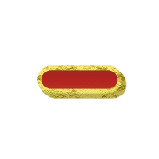 251