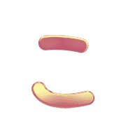010