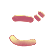 060