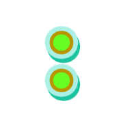 244