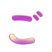 060
