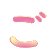 060