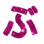 073