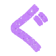 058