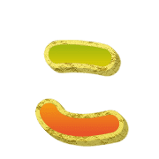 010