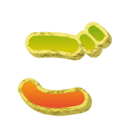 060