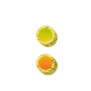 244