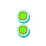 244