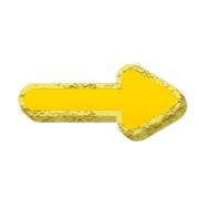 262