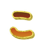 010