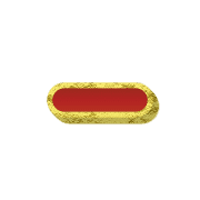 251