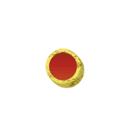 253