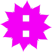 244