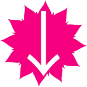 261