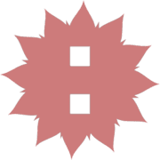 244