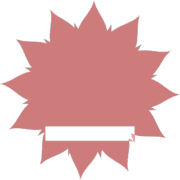 250