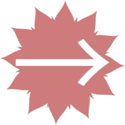 262
