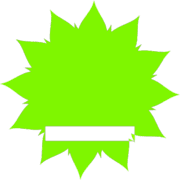 250