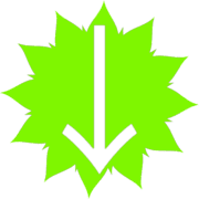 261