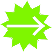 262