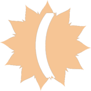 234