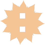 244