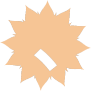 256